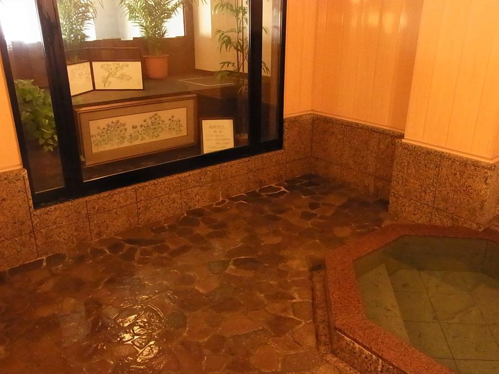Hotel New Mondo Юдзава Екстер'єр фото